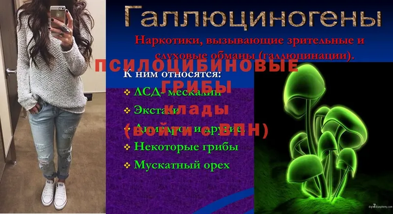 Галлюциногенные грибы Psilocybe  Фролово 