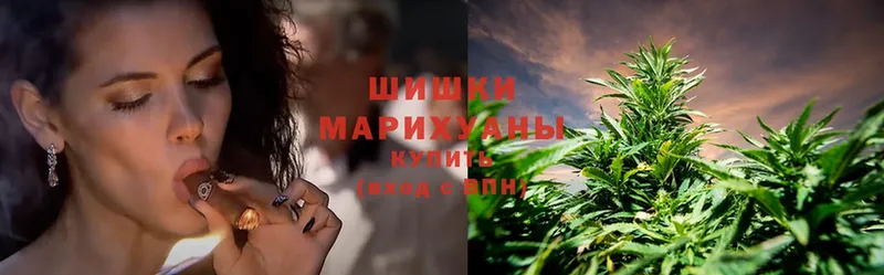 где найти наркотики  Фролово  Шишки марихуана Bruce Banner 